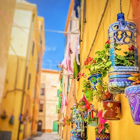 Always Traveling Near The Center - Happy Olbia